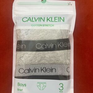 Calvin Klein Boys Gray Briefs 3 Pack Size L 12-14